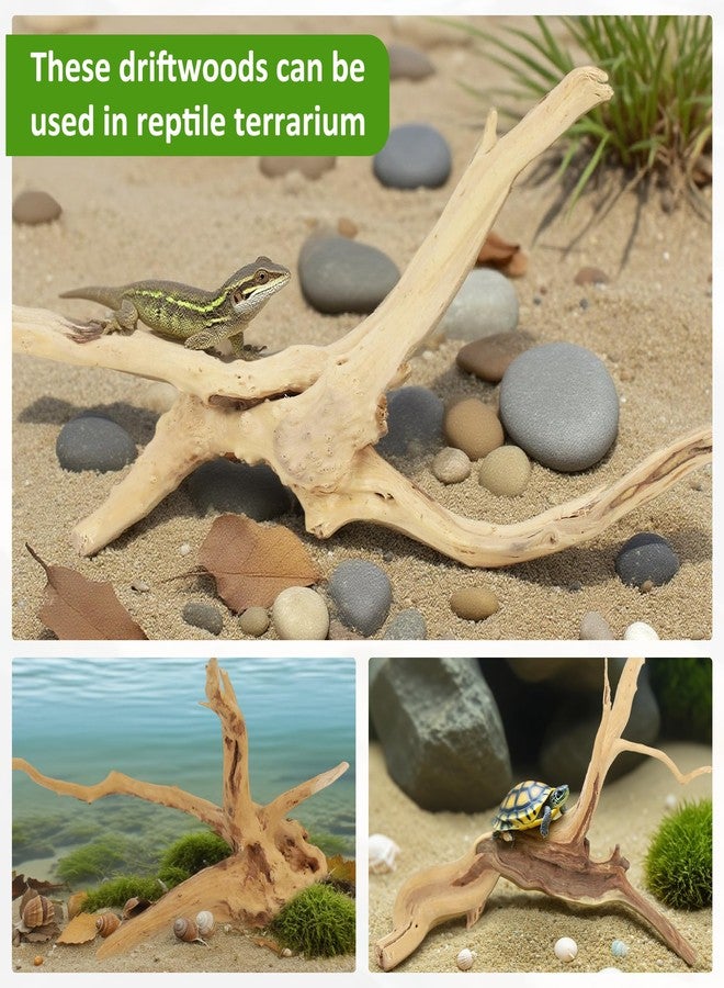 Axigundaone 8 Pcs Natural Spider Woods, 4-8 Inch Small Driftwood Branches, Aquarium Driftwood for Reptile Fish Tank Decorations - Image 4